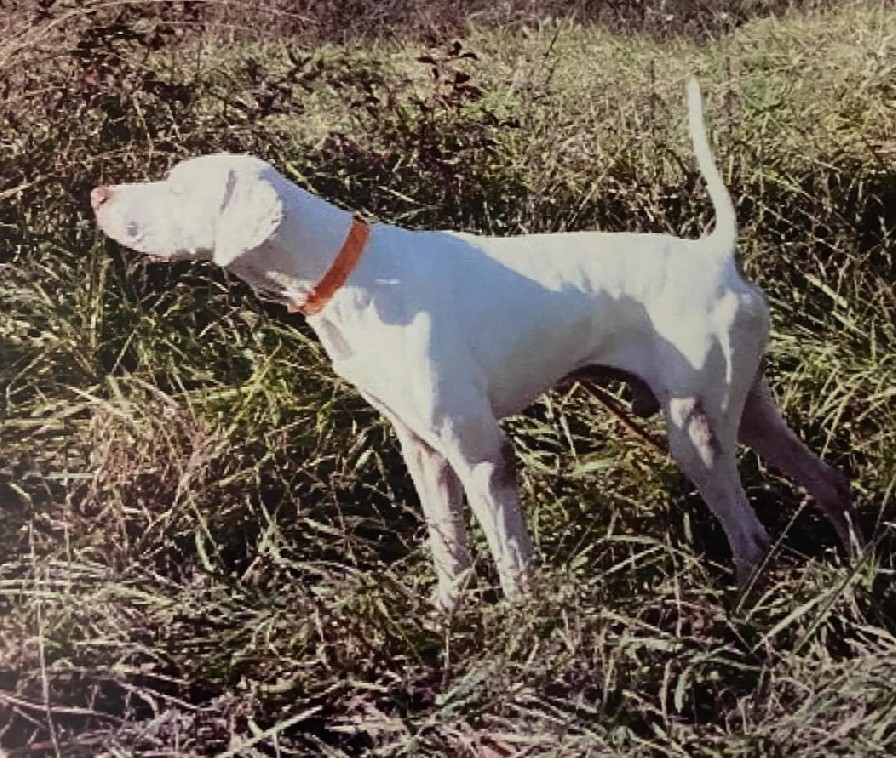 ROWDY MAN