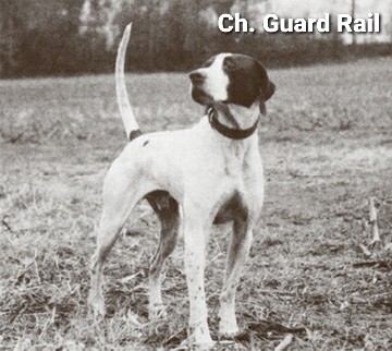 CH. GUARDRAIL