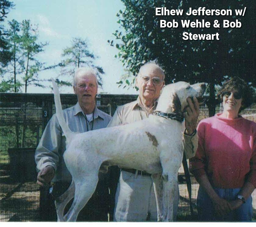 ELHEW JEFFERSON